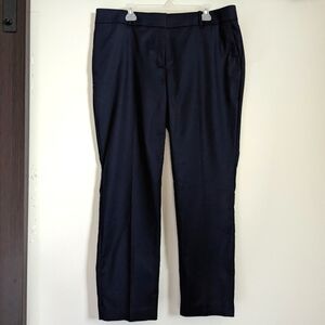 ANN TAYLOR  | The Straight Curvy Straight Leg Navy Pant Size 16